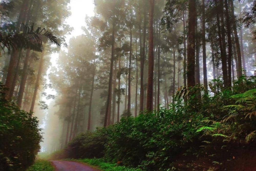 instagram.com/wenink_kusuma