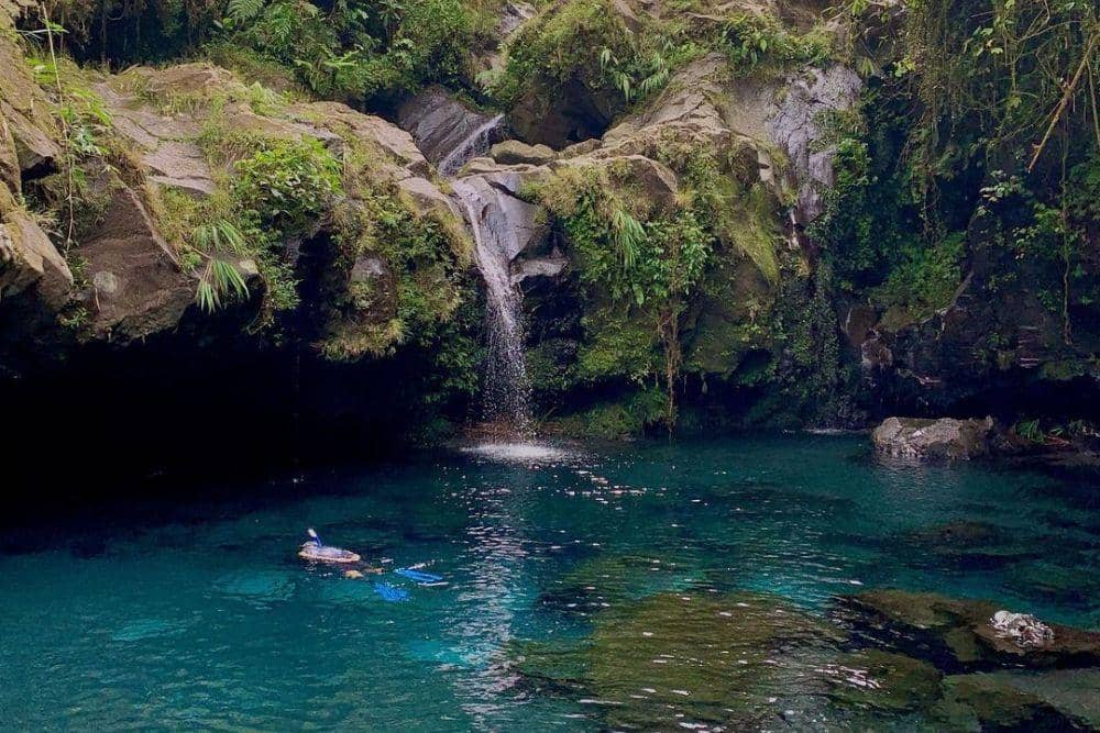 instagram.com/edza.tamara