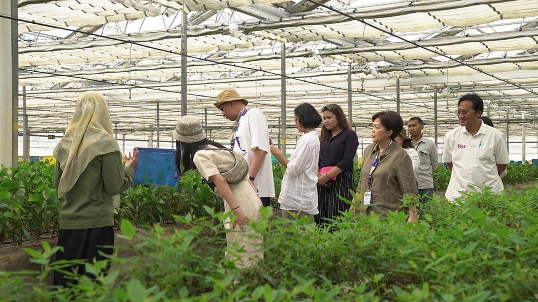 Dok. Asia Pacific Rayon