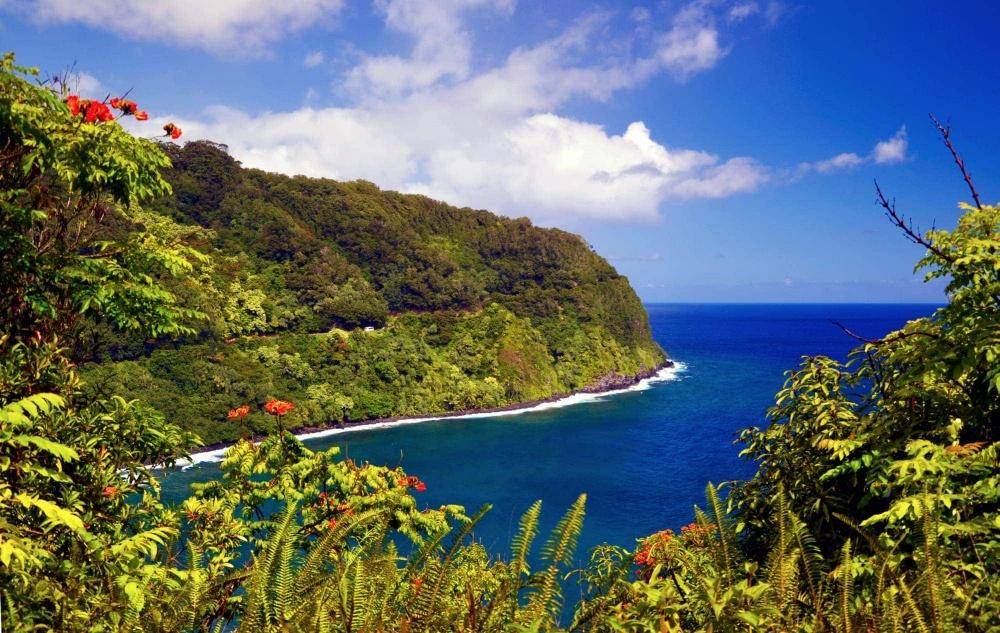 Lovebigisland.com