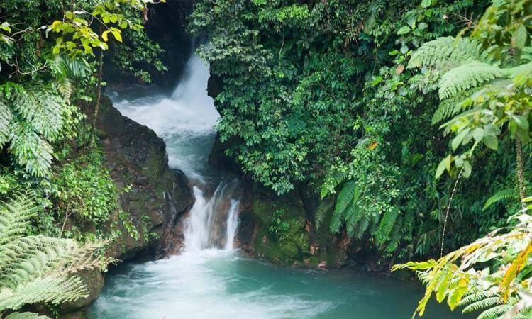 Curug Cibulao: Rekomendasi Wisata Air Terjun yang Seru di Bogor