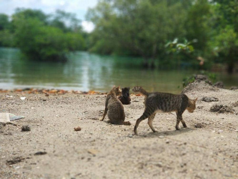 Instagram.com/eurikeoetama