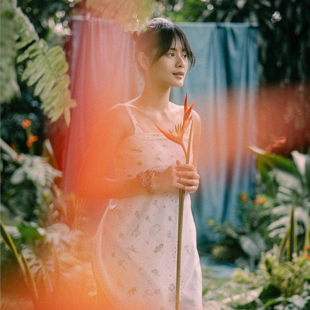 dok. Sejauh Mata Memandang