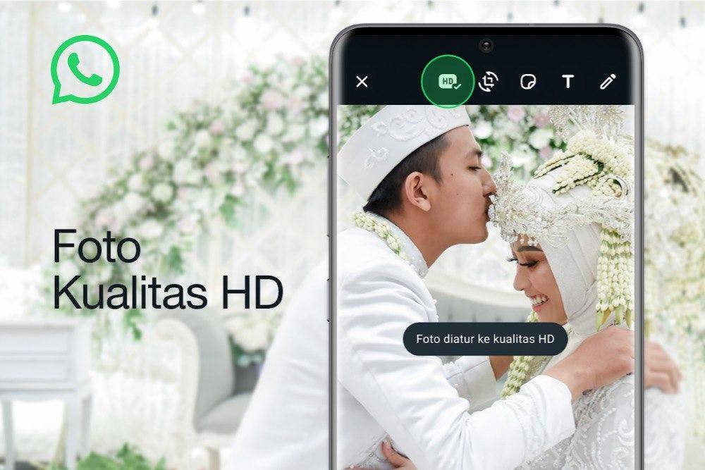 WhatsApp Kini Bisa Kirim Foto HD, Ini Caranya!