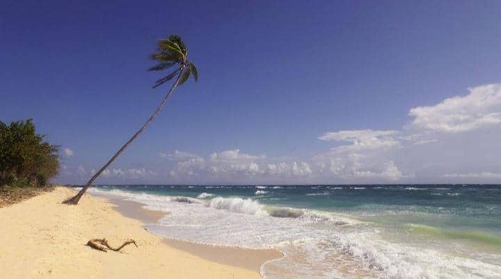 Instagram.com / ahmadzargon