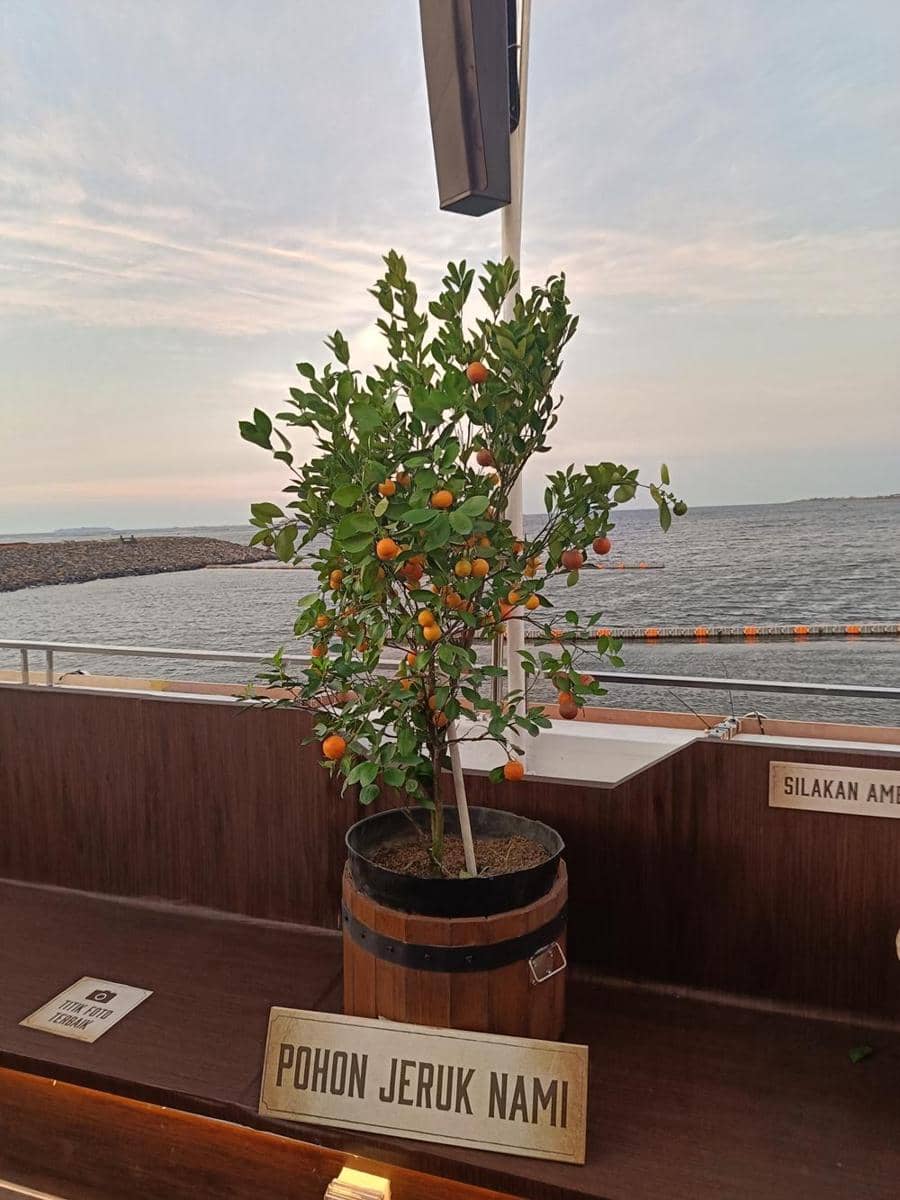 Popbela.com/Romi Subhan