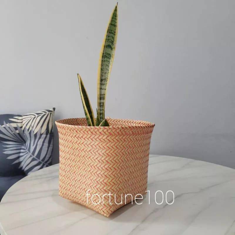Shopee.com/Fortune 100