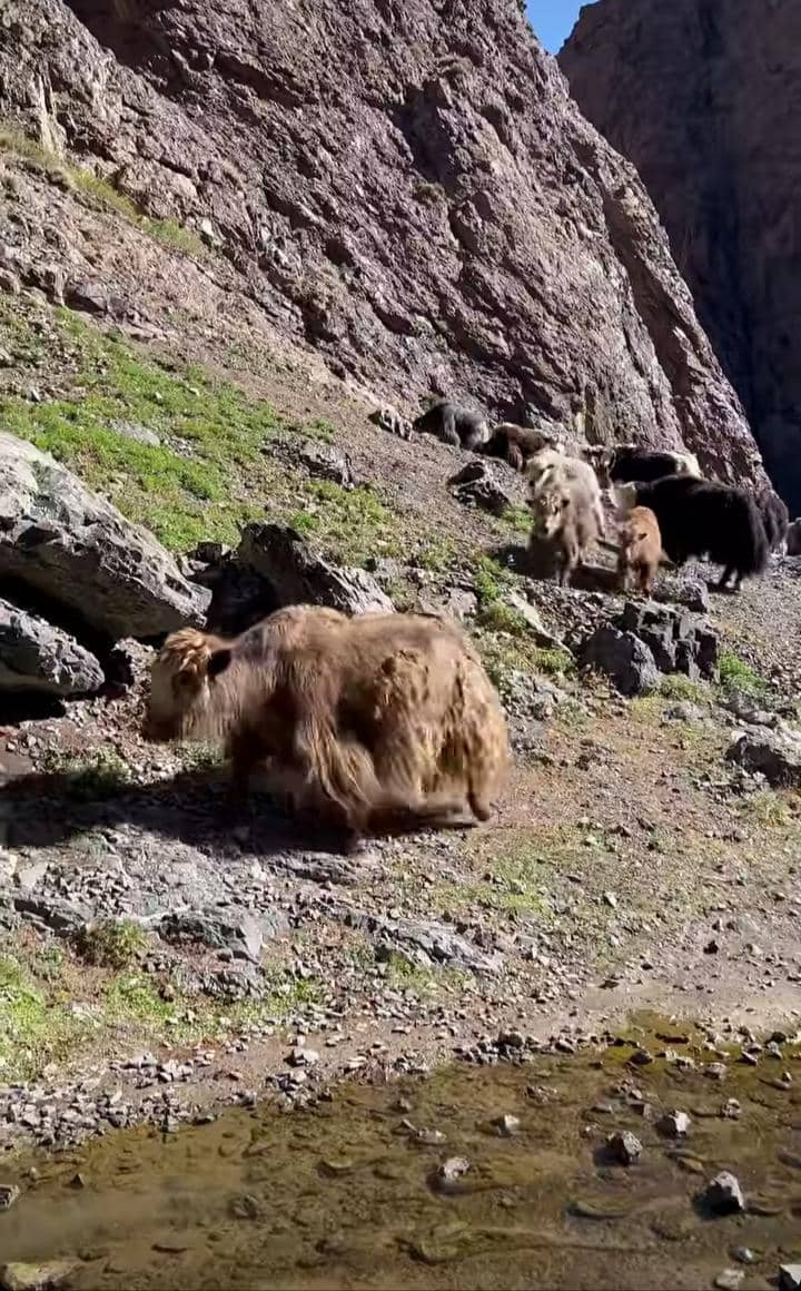 Instagram.com / indpriw