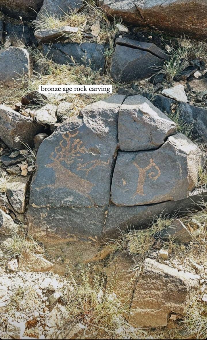 Instagram.com / nikitawillyofficial94