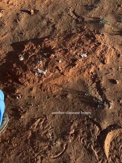 Instagram.com / nikitawillyofficial94