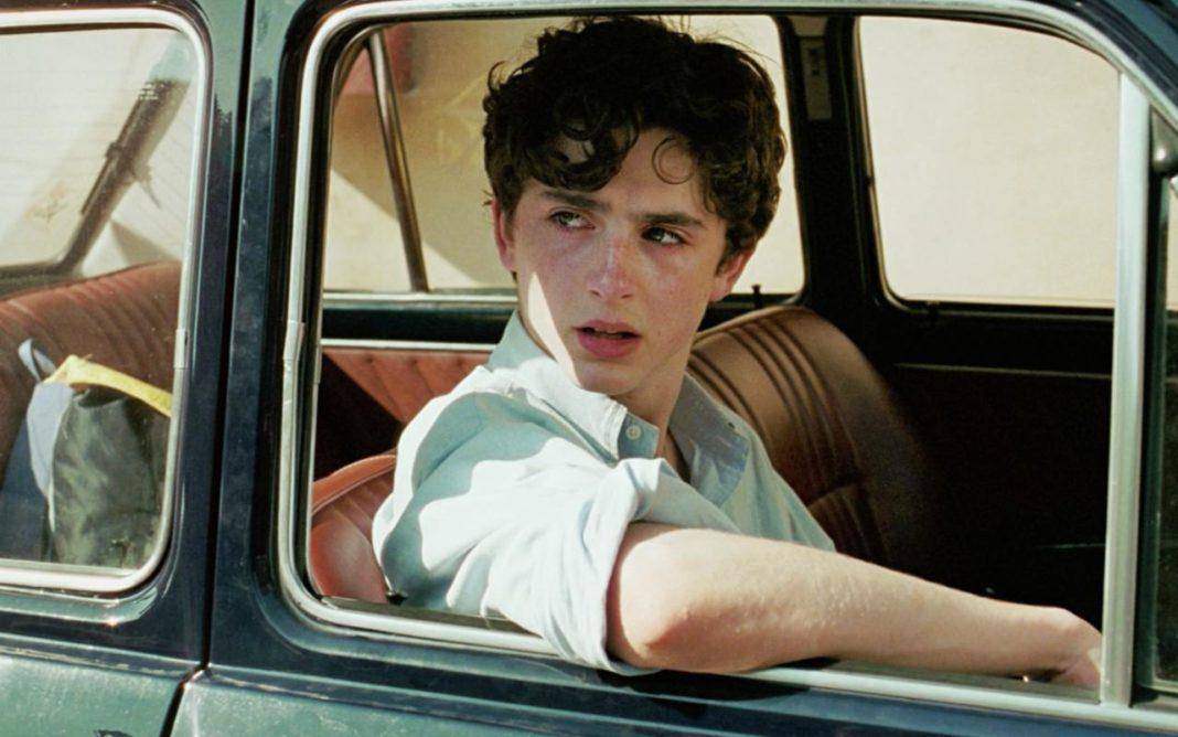 7 Fakta Timothée Chalamet yang Mungkin Belum Kamu Tahu