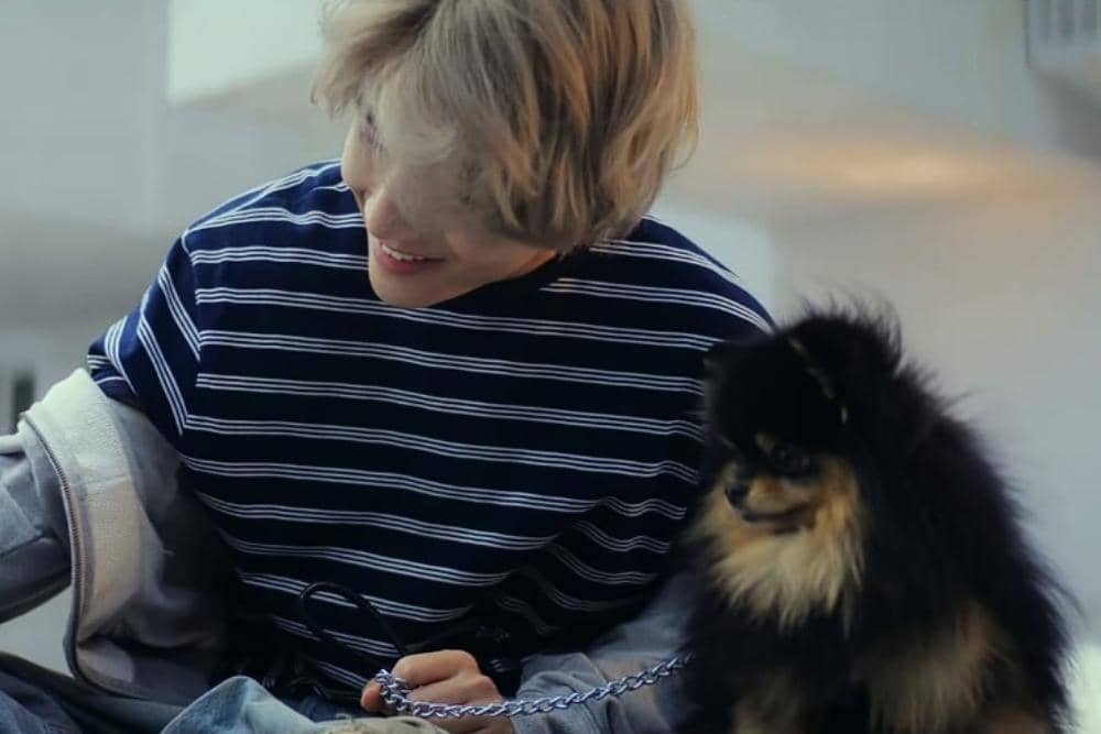 YouTube.com / HYBE LABELS