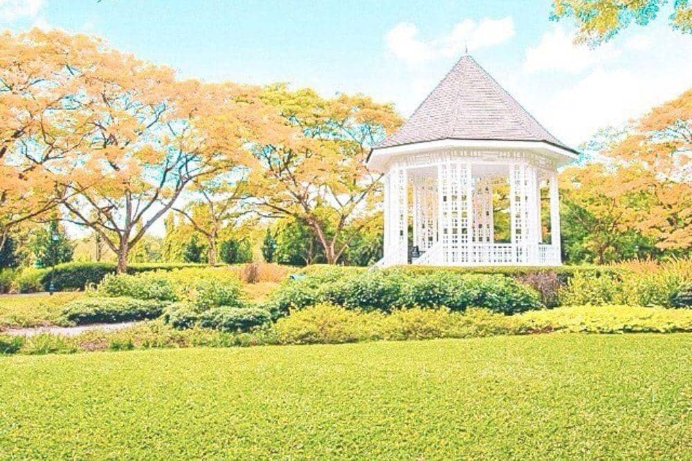 instagram.com/janeenyay