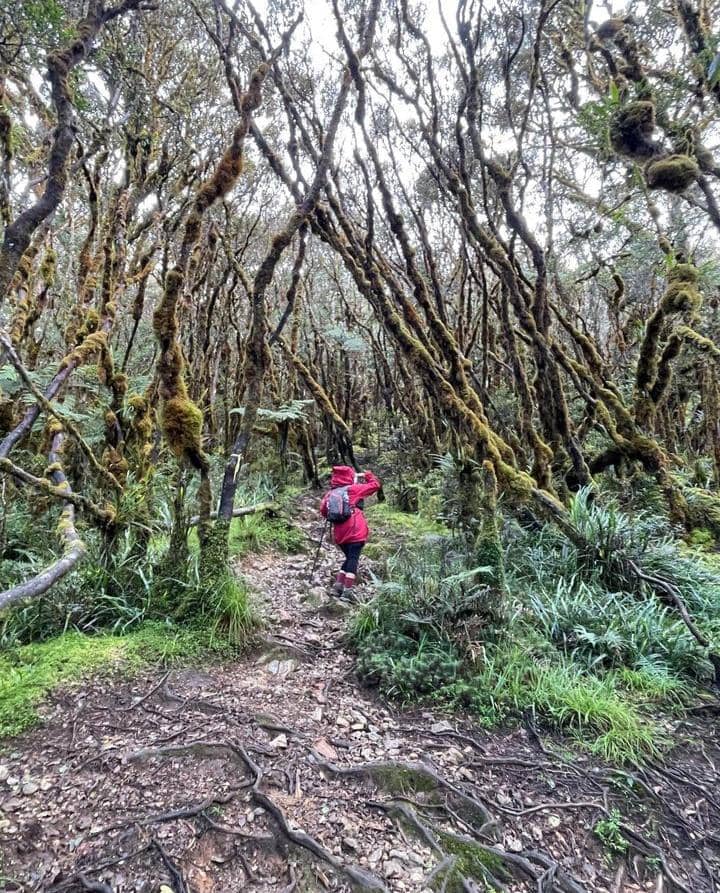 Instagram.com / ilmyyh10_