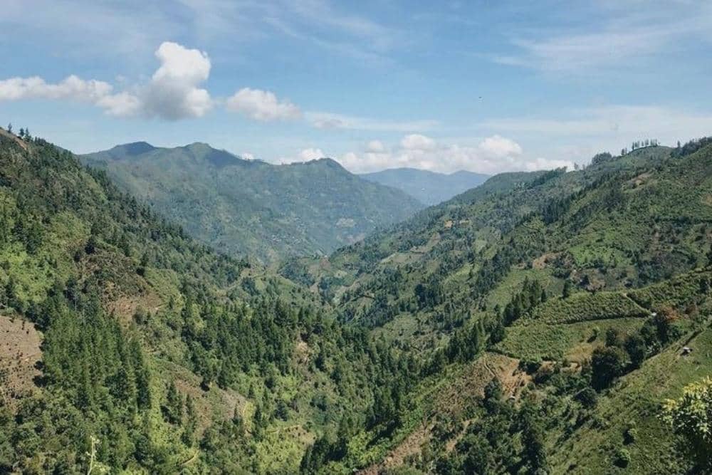 Instagram.com / taufiqmu