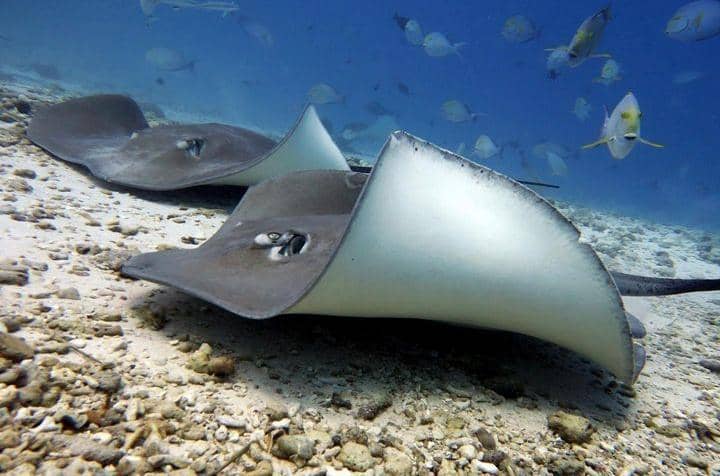 Instagram.com / jasminecorbettphotography