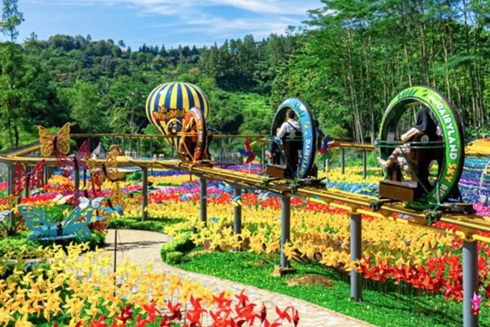 Cimory Dairyland Puncak