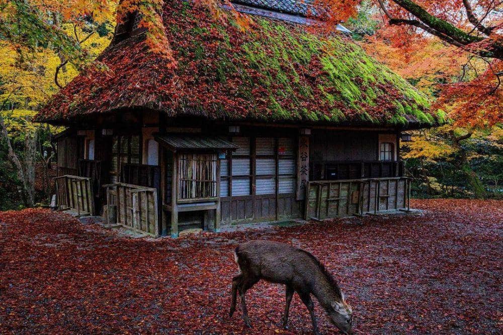 instagram.com/tiagoraw