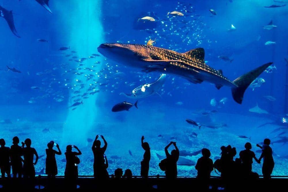 instagram.com/nihon.no.style