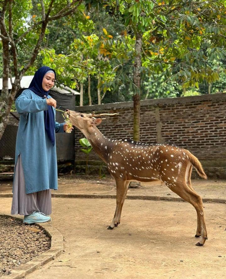 Instagram.com / qqdilla