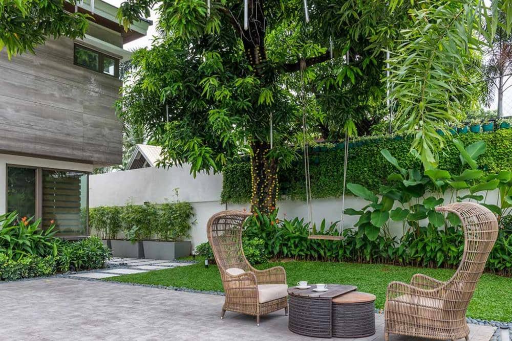 dtwailacpics.blogspot.com