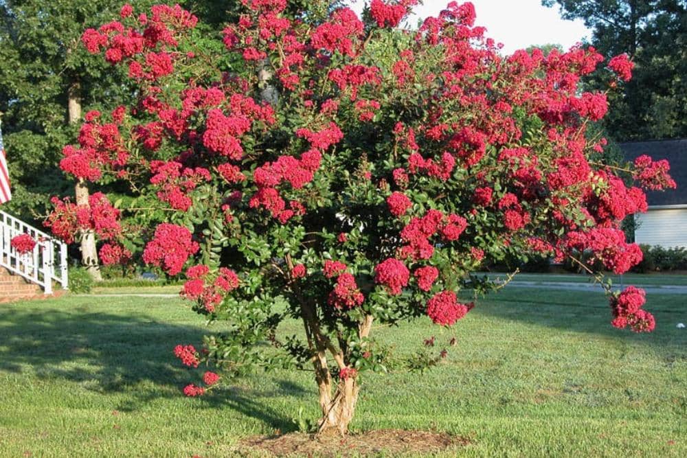 homeimprovementgate.com