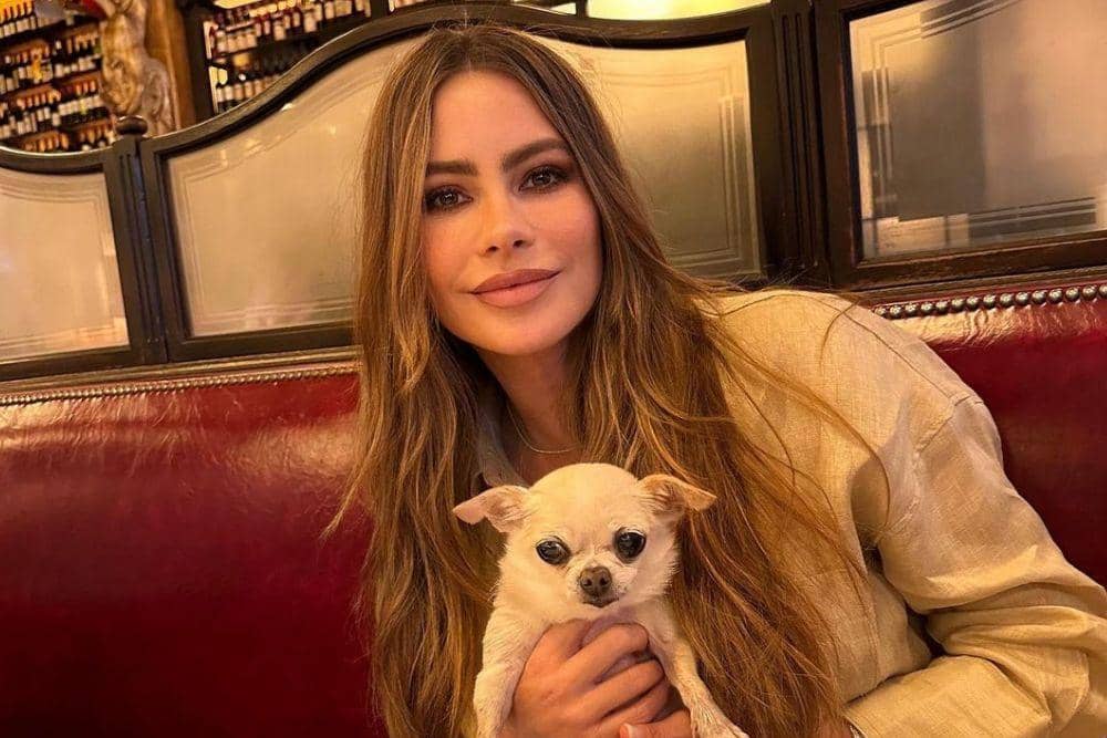 instagram.com/sofiavergara