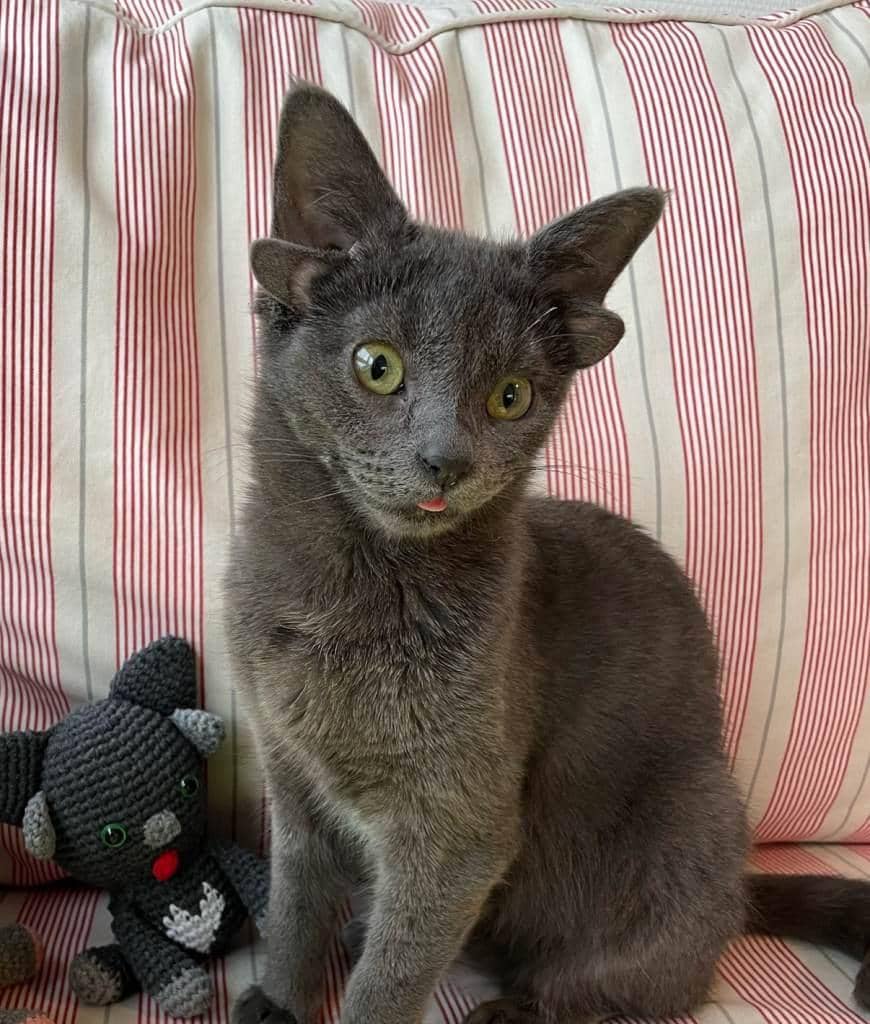 instagram.com/midas_x24