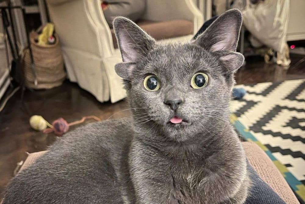 instagram.com/midas_x24