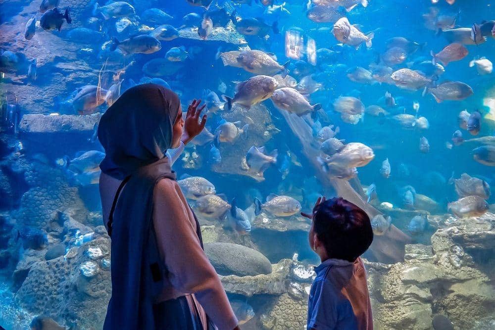 instagram.com/seaworld.ancol