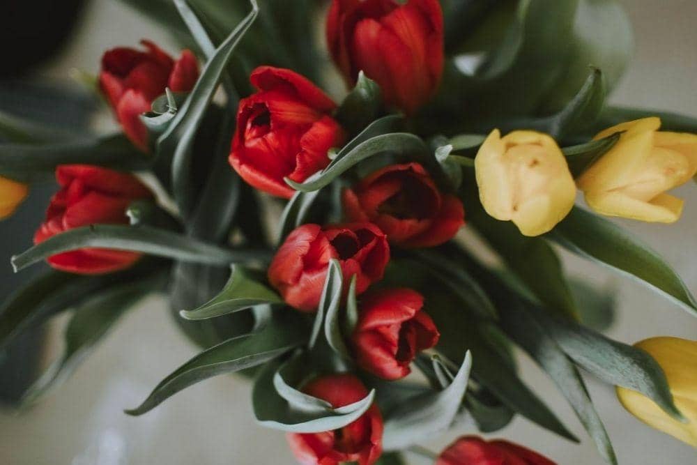 pexels.com/lil artsy