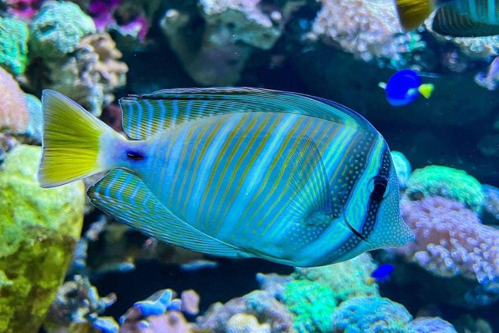 instagram.com/seaworld.ancol