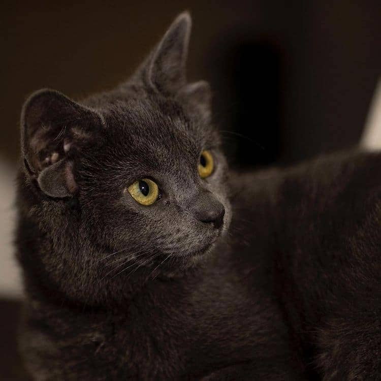 instagram.com/midas_x24