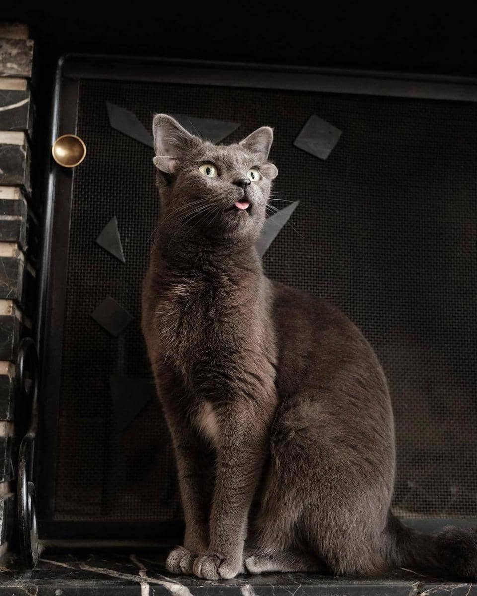 instagram.com/midas_x24