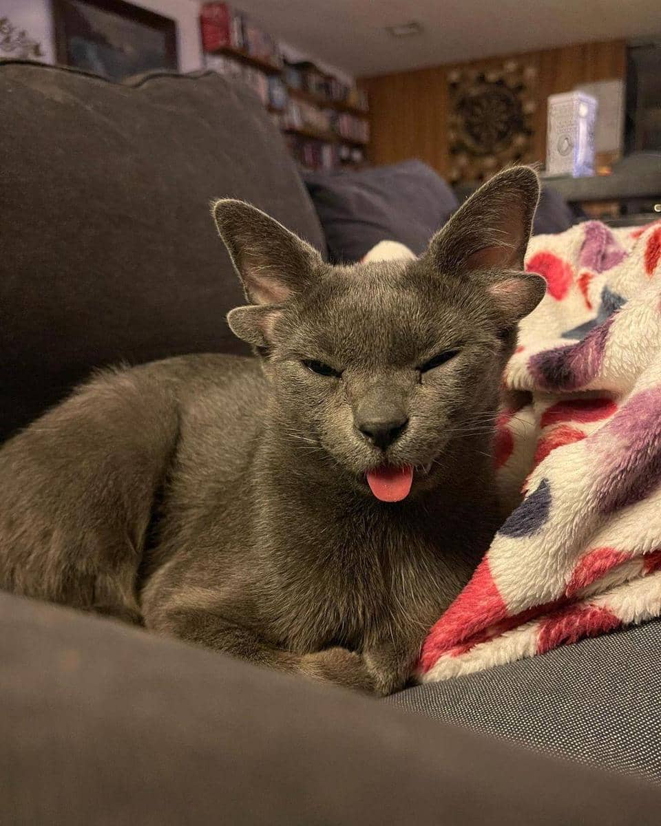 instagram.com/midas_x24