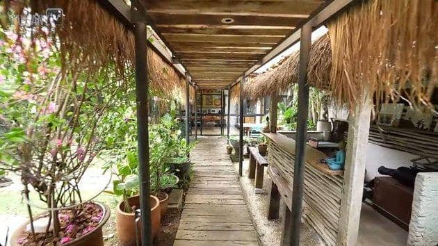 youtube.com/TAULANY TV