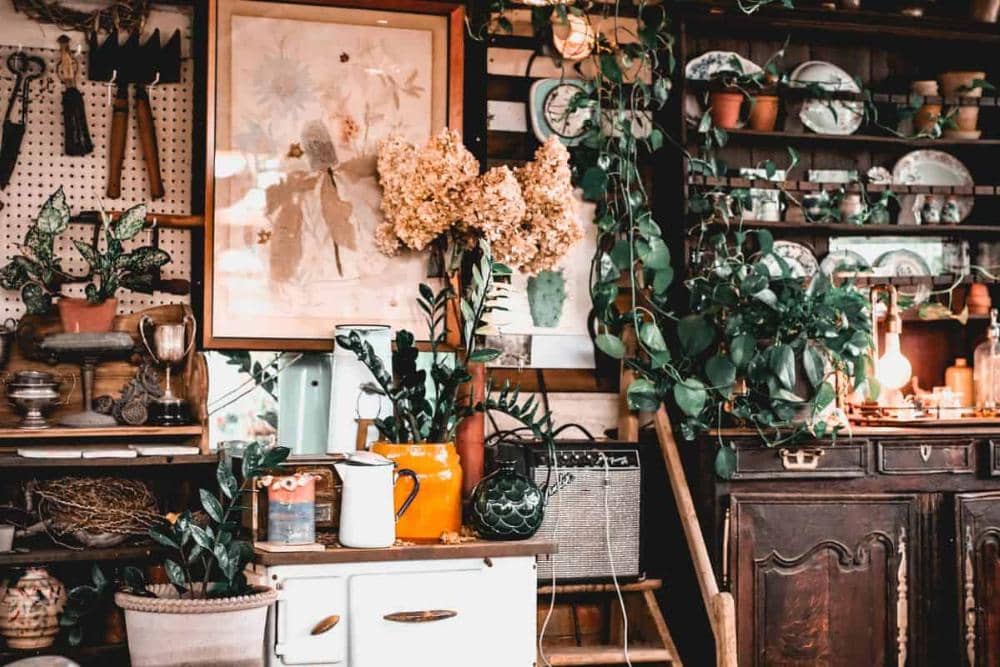 thesimplicityhabit.com