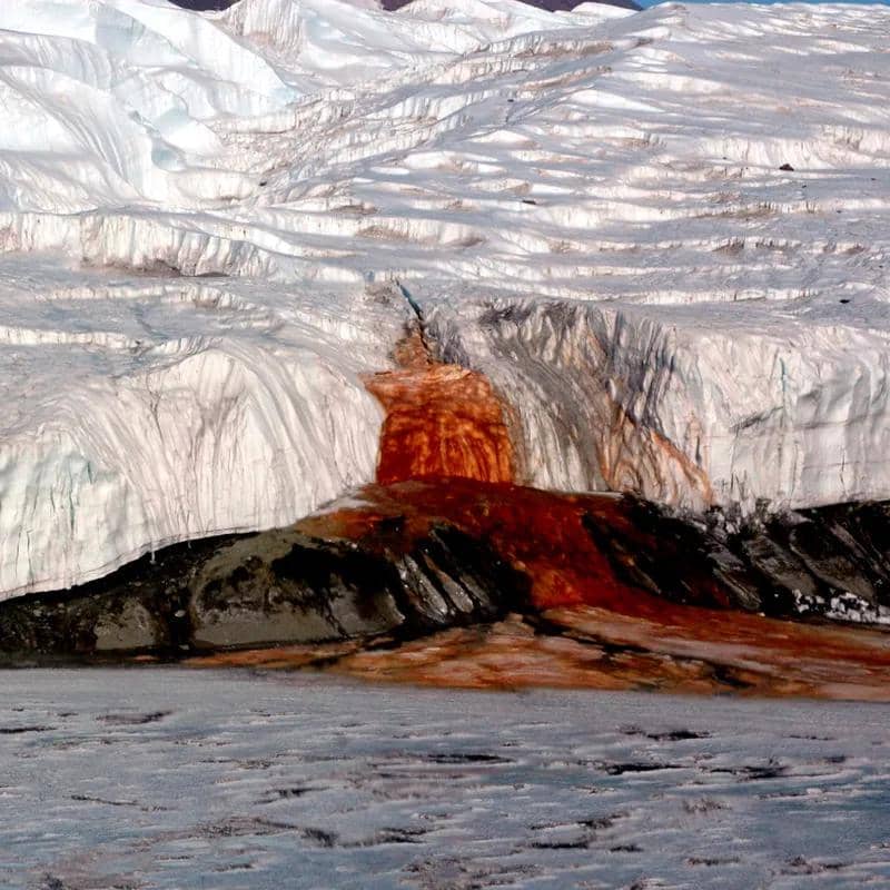 Smithsonian Magazine