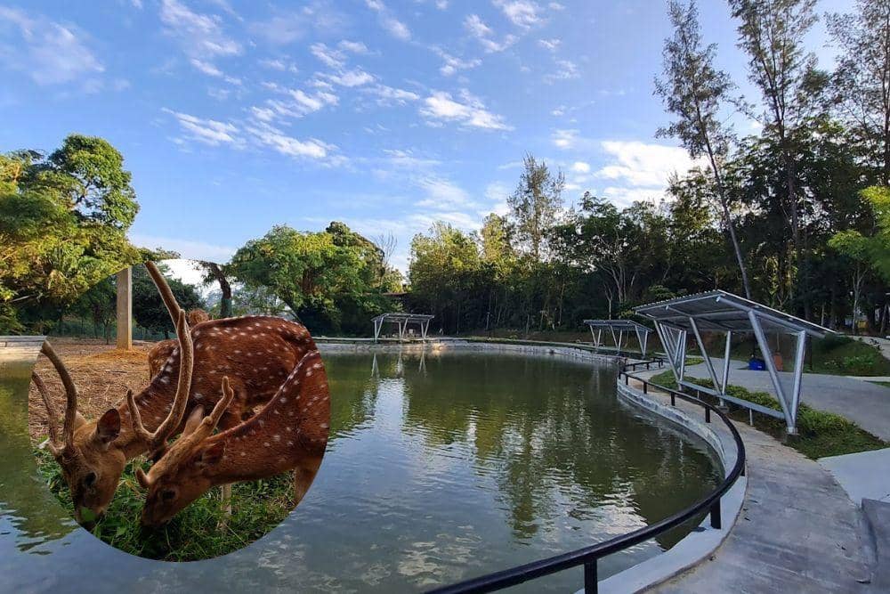 google.com/search/TamanRusaSekupang