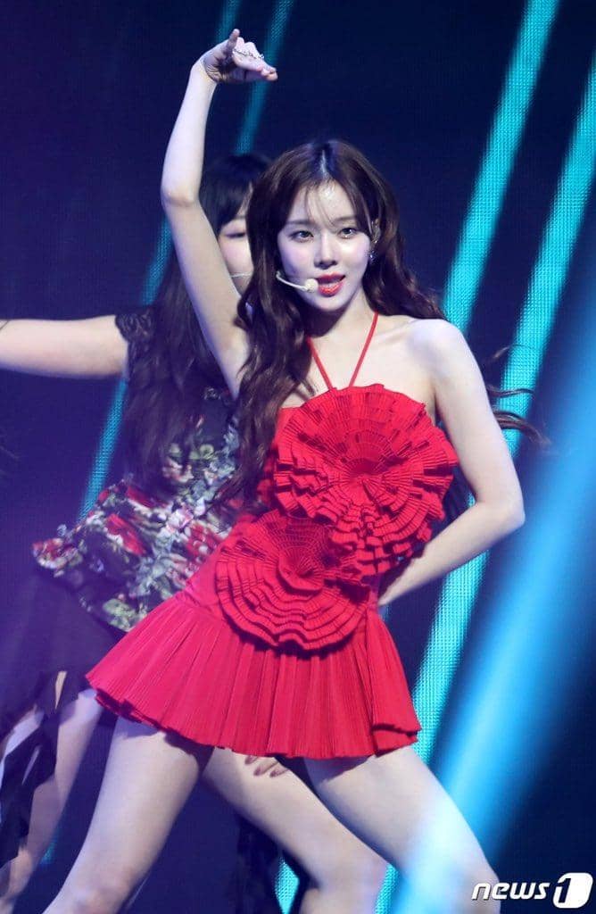 news1.kr