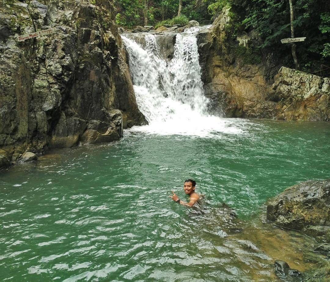 instagram.com/ariwyo