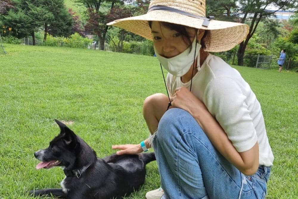 instagram.com/susemee