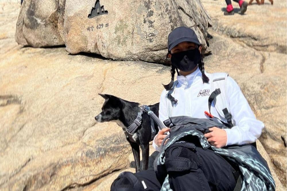 instagram.com/susemee