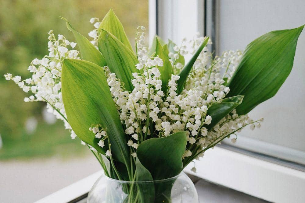 pexels.com/anastasia-ilinamakarova