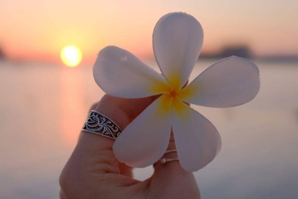 pexels.com/lada-rezantseva