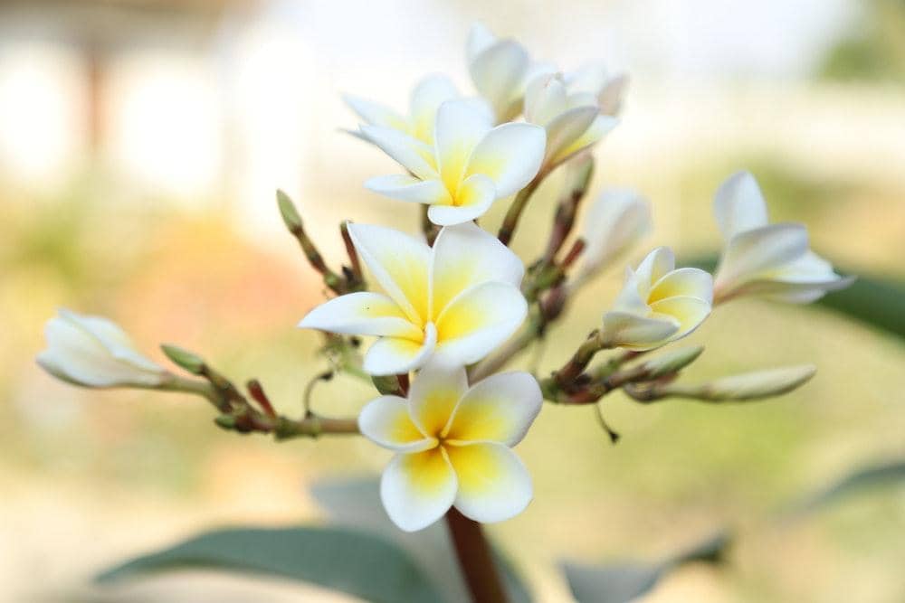 Pexels.com/Der Thort