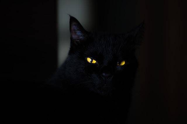 unsplash.com/EduardoMallmann