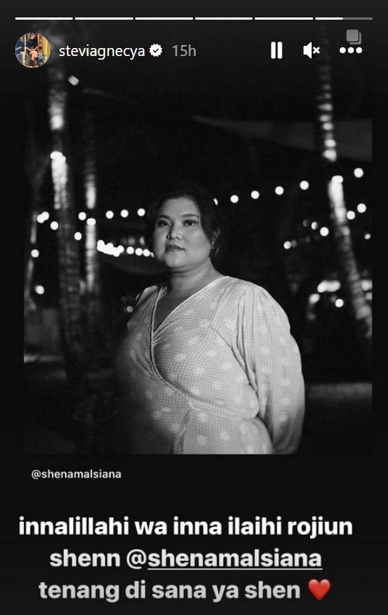 instagram.com/steviagnecya