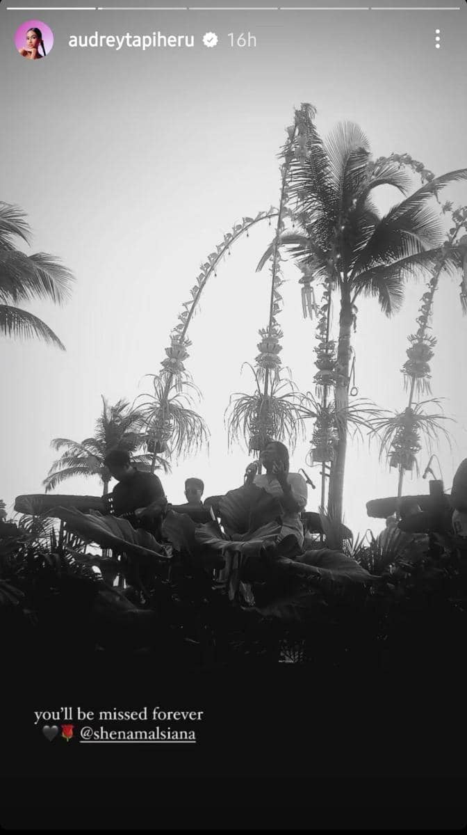 instagram.com/audreytapiheru