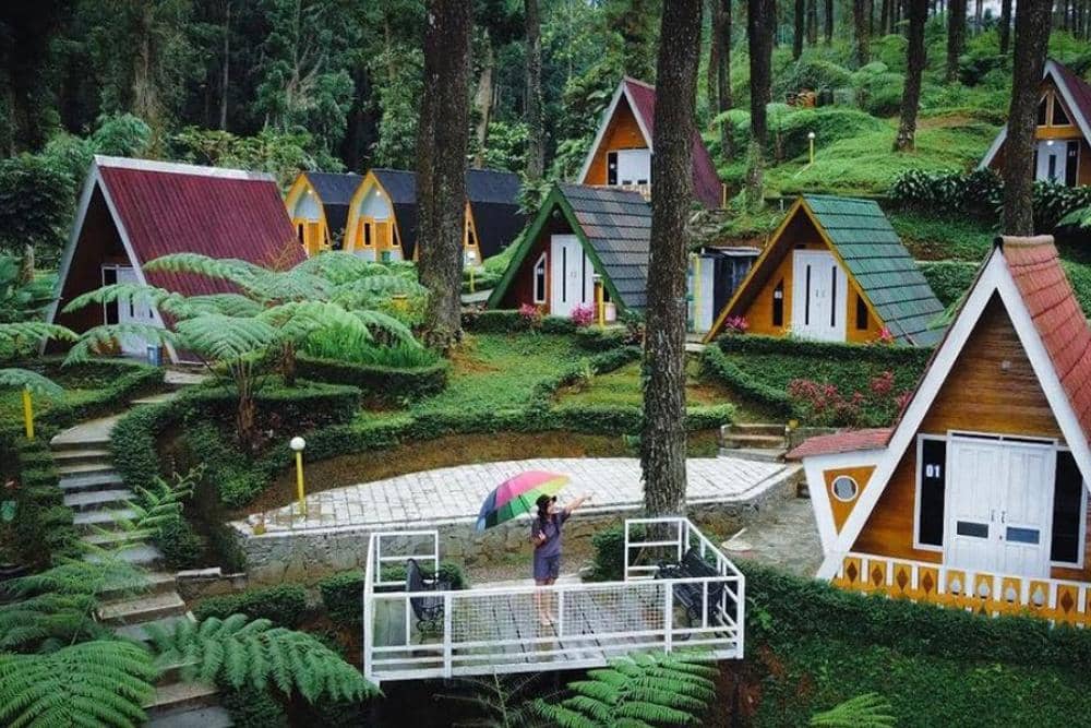 instagram.com/hutanpinuslimpakuwuss